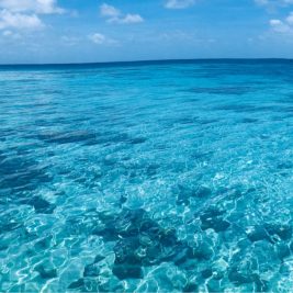 Gin-coloured waters at Fatboys Resort, Gizo.