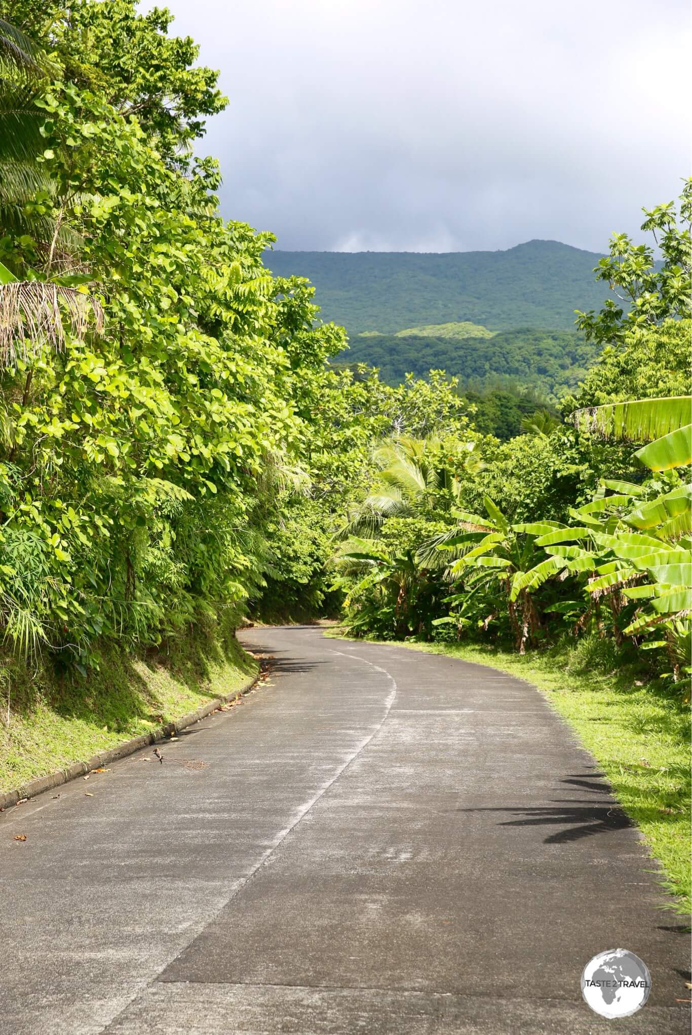 The one, concrete road on Ta'u runs along the north shore of the island, connecting the few villages on the island.