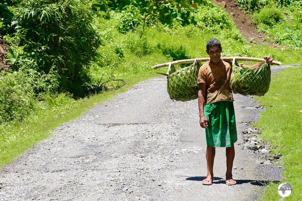 A villager from Saletele returning home with freshly picked bananas.