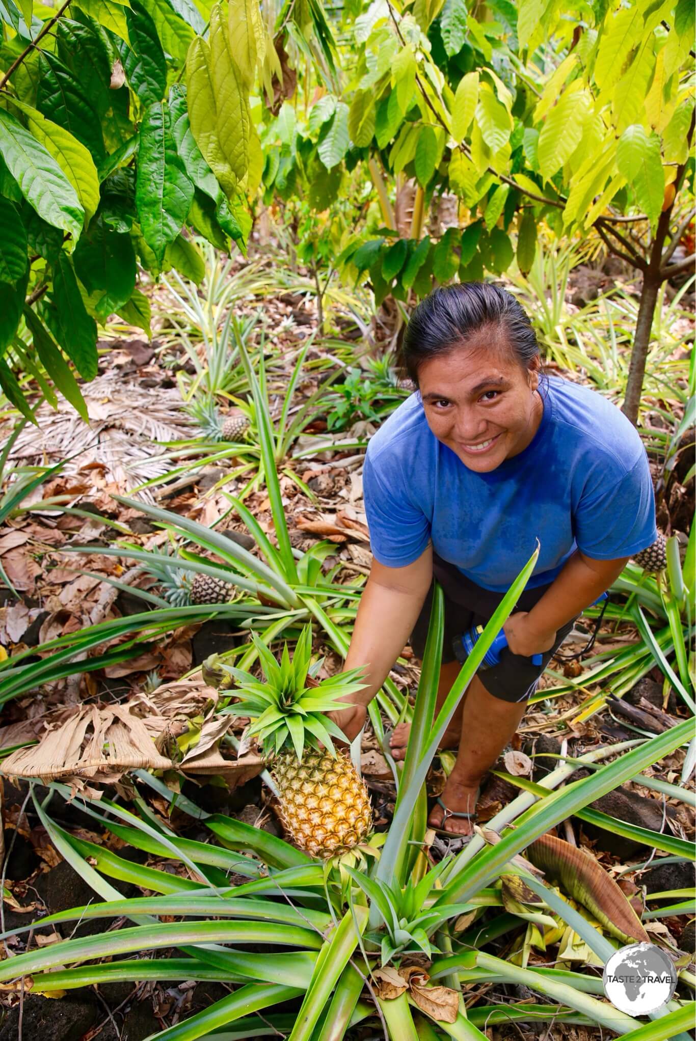 Lagi carefully selects my pineapple from the family plantation. It was delicious!