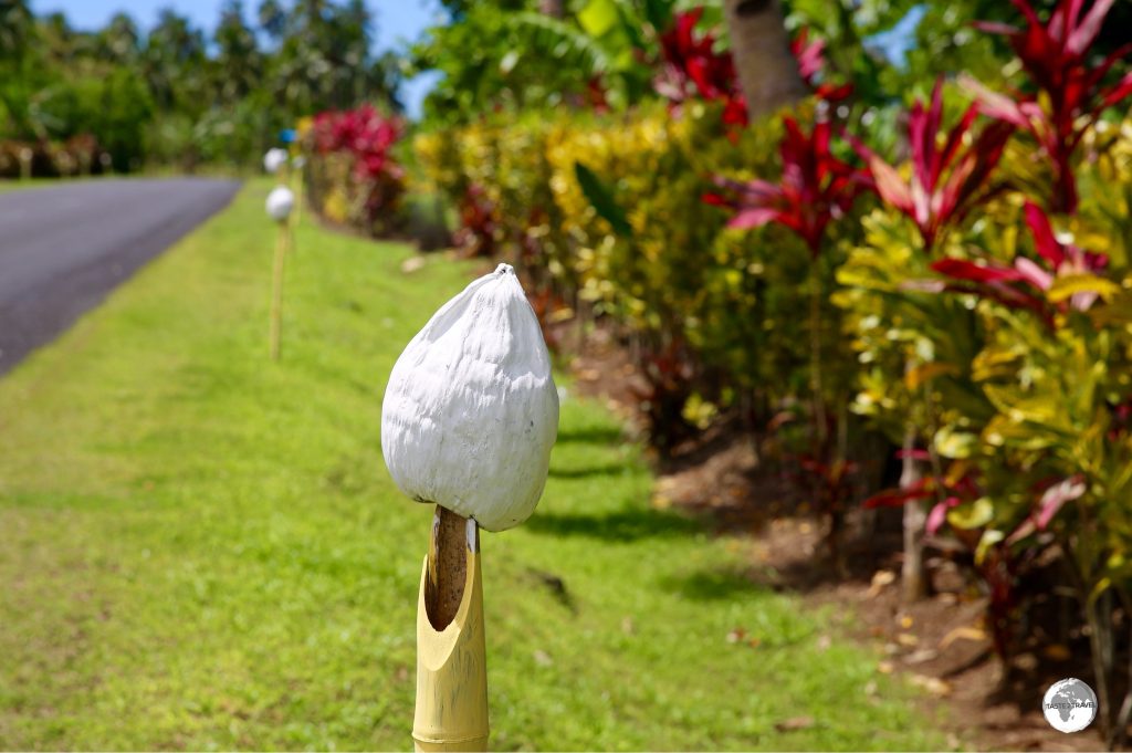 Painted coconuts stand like sentinels along the roadside through a village on Upolu island.