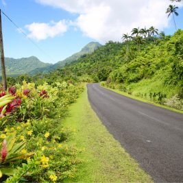 Typical landscape on scenic Upolu island.