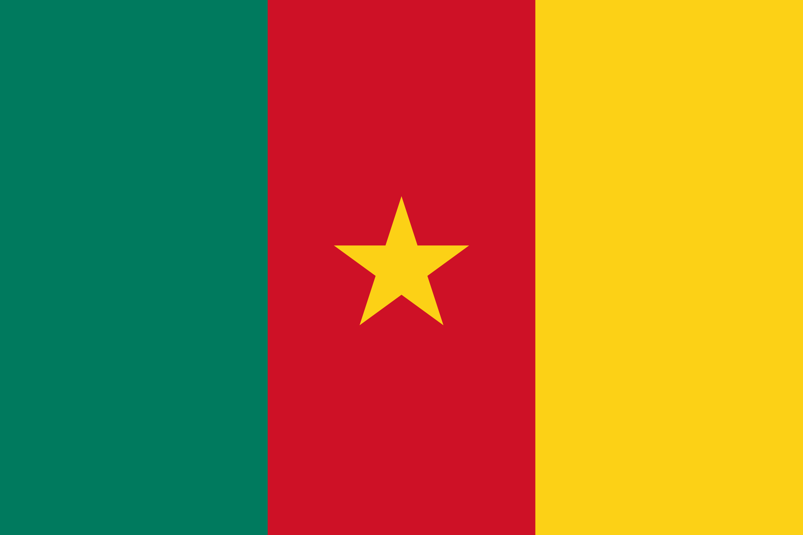 Cameroon Flag