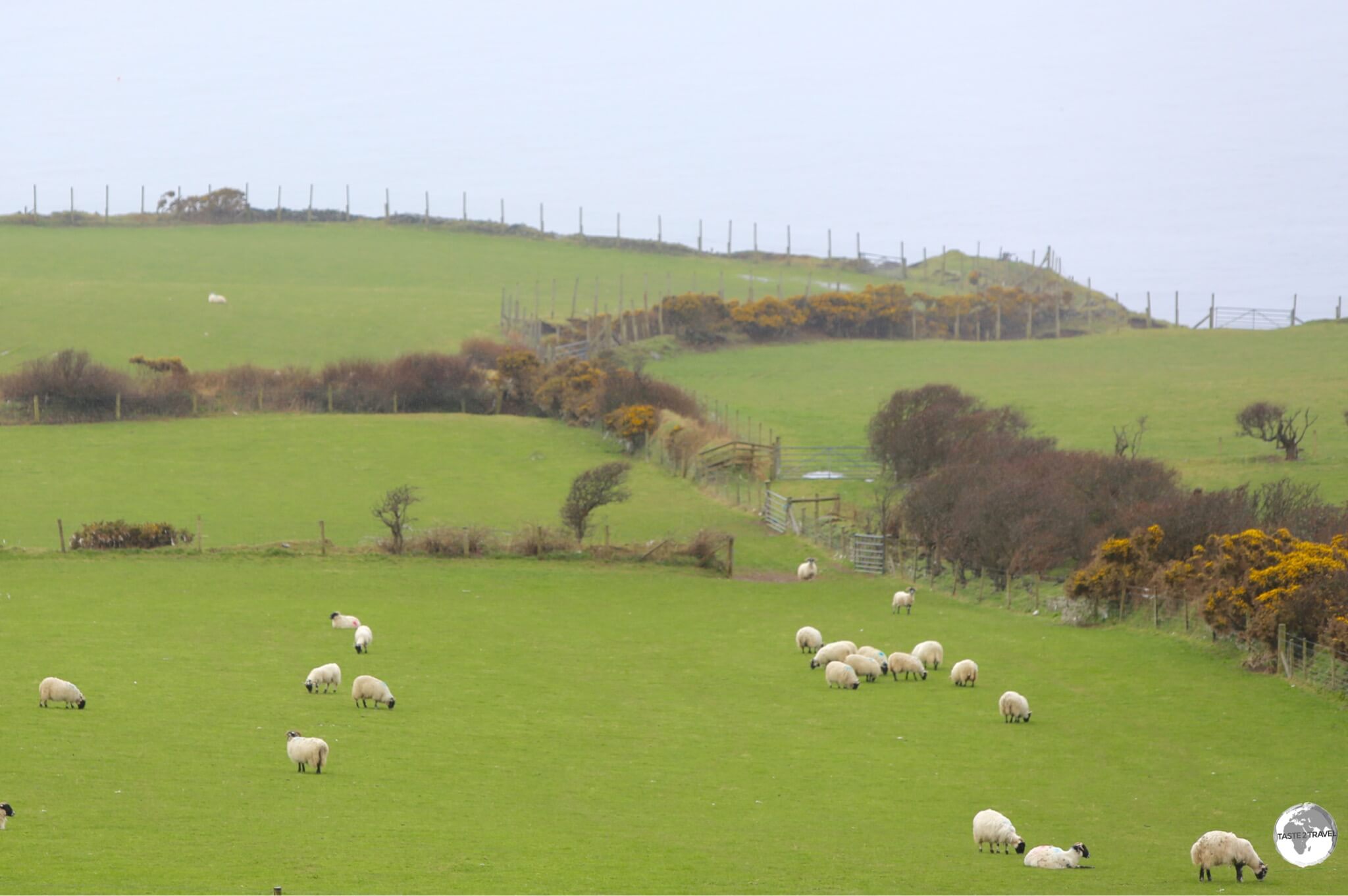 Plenty of picturesque views to be seen while driving the TT circuit.