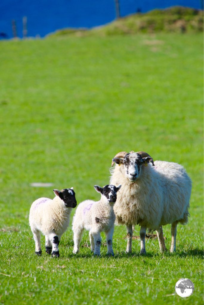 The Isle of Man is known for its bucolic scenery.