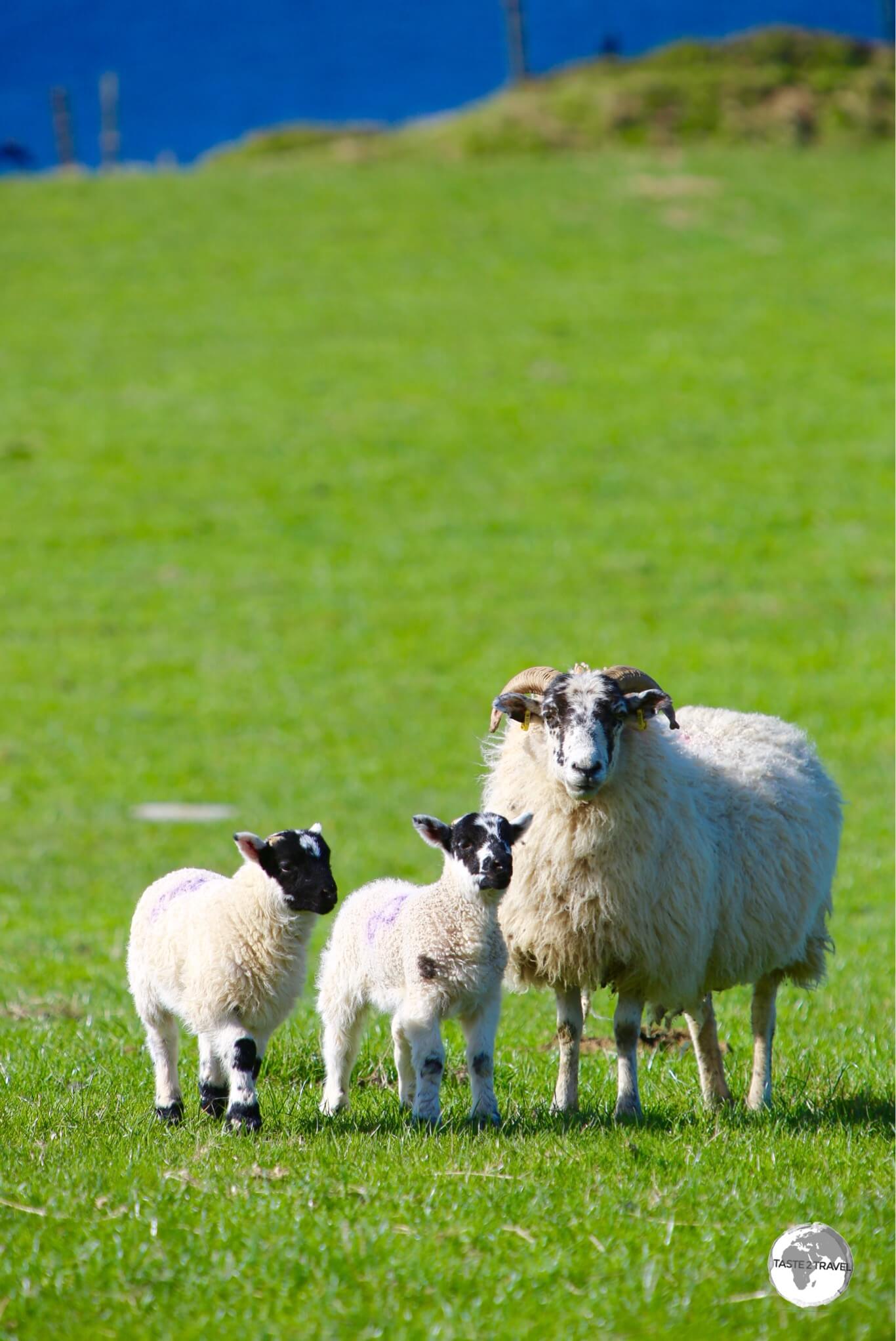 The Isle of Man is known for its bucolic scenery. 