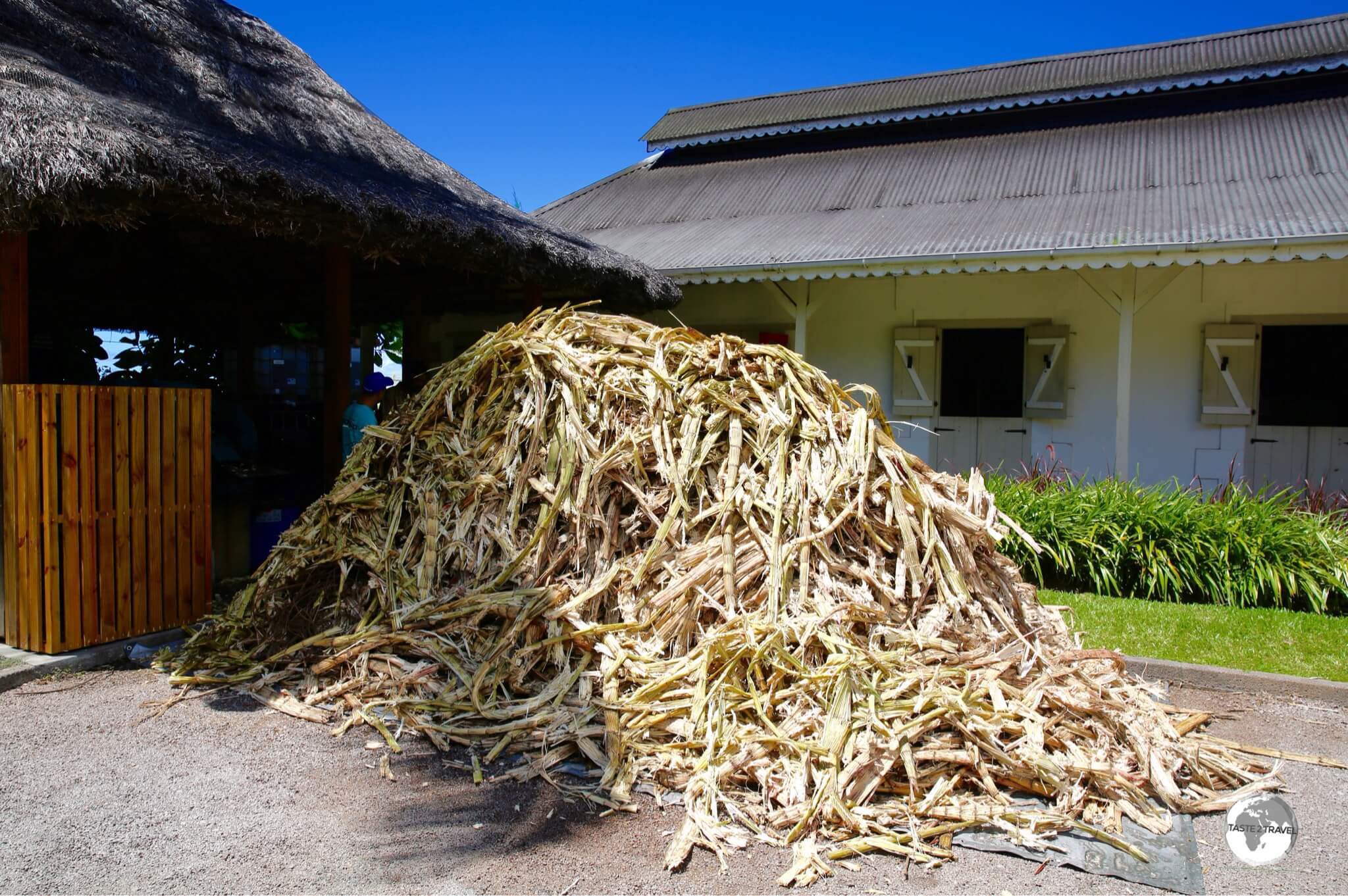 Once squeezed of its juice, the leftover sugarcane is returned to the farmers to be used as fertiliser.