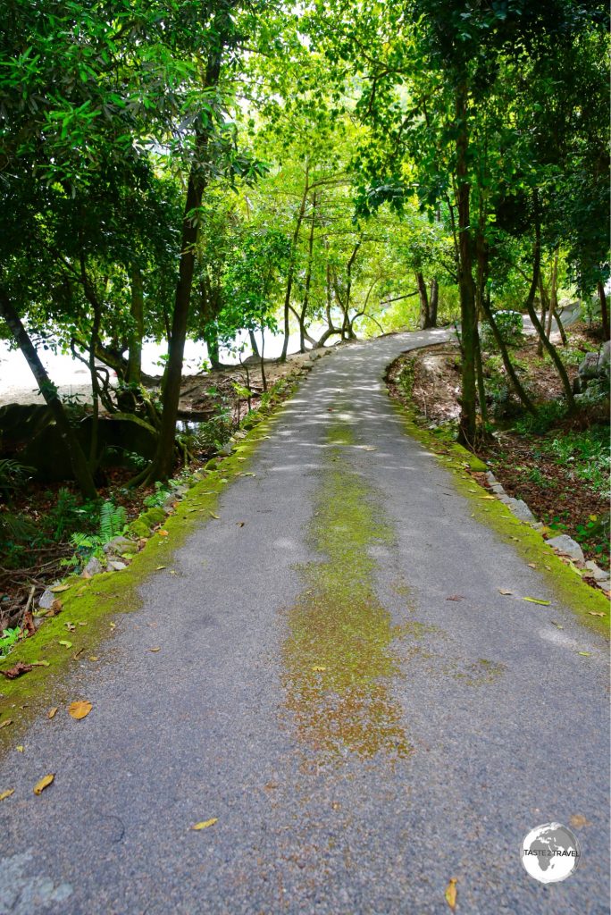 Some roads on the Seychelles can be challenging such as this two-way road (which is one lane wide), with steep drop-offs on either side.