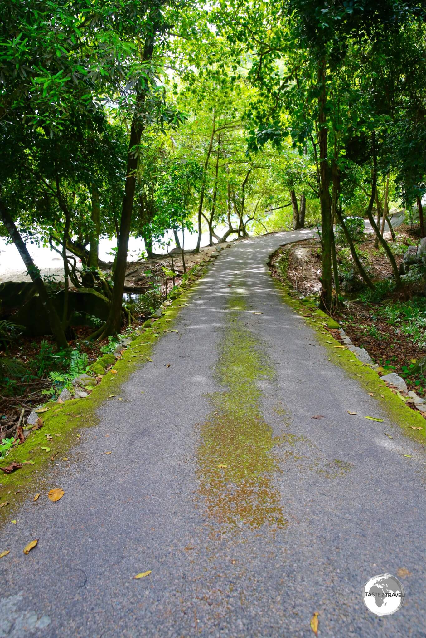 Some roads on the Seychelles can be challenging such as this two-way road (which is one lane wide), with steep drop-offs on either side. 