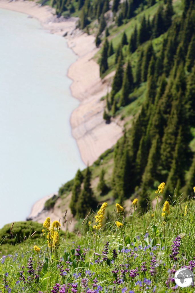 Colourful wildflowers are omnipresent in the Kazakh countryside and always look great in the foreground of photos.