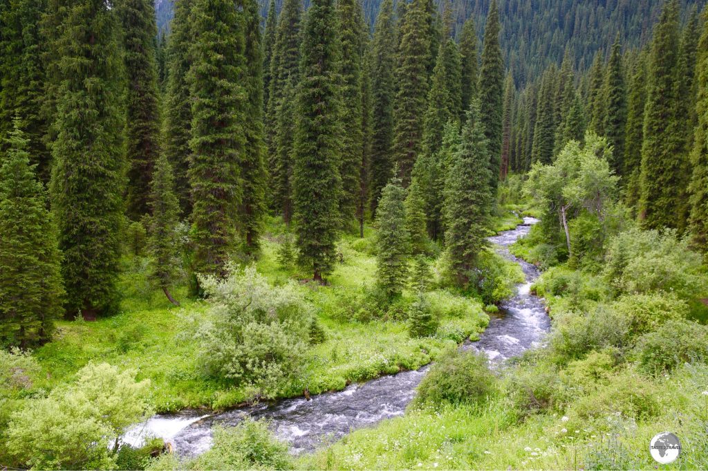 The Kolsai river connects all three lakes.