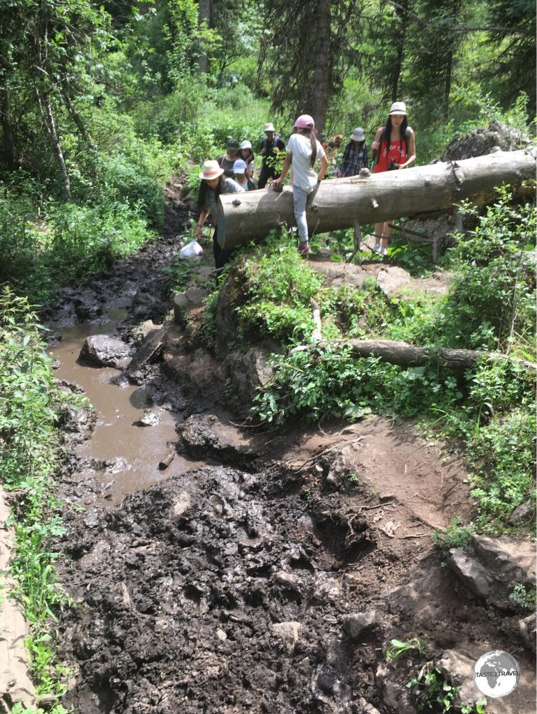 The gruelling 20 km return hike from the 1st to the 2nd Kolsai lake is a veritable obstacle course.