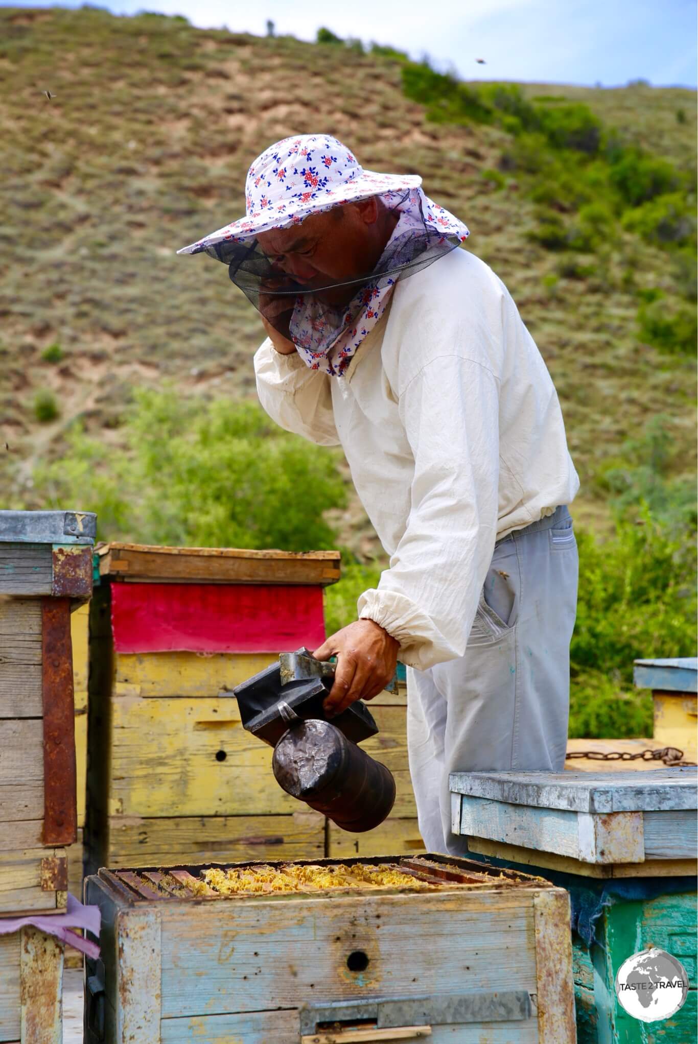 The bee keeper at Jeti-Ögüz, applying smoke to the recently-opened hive.