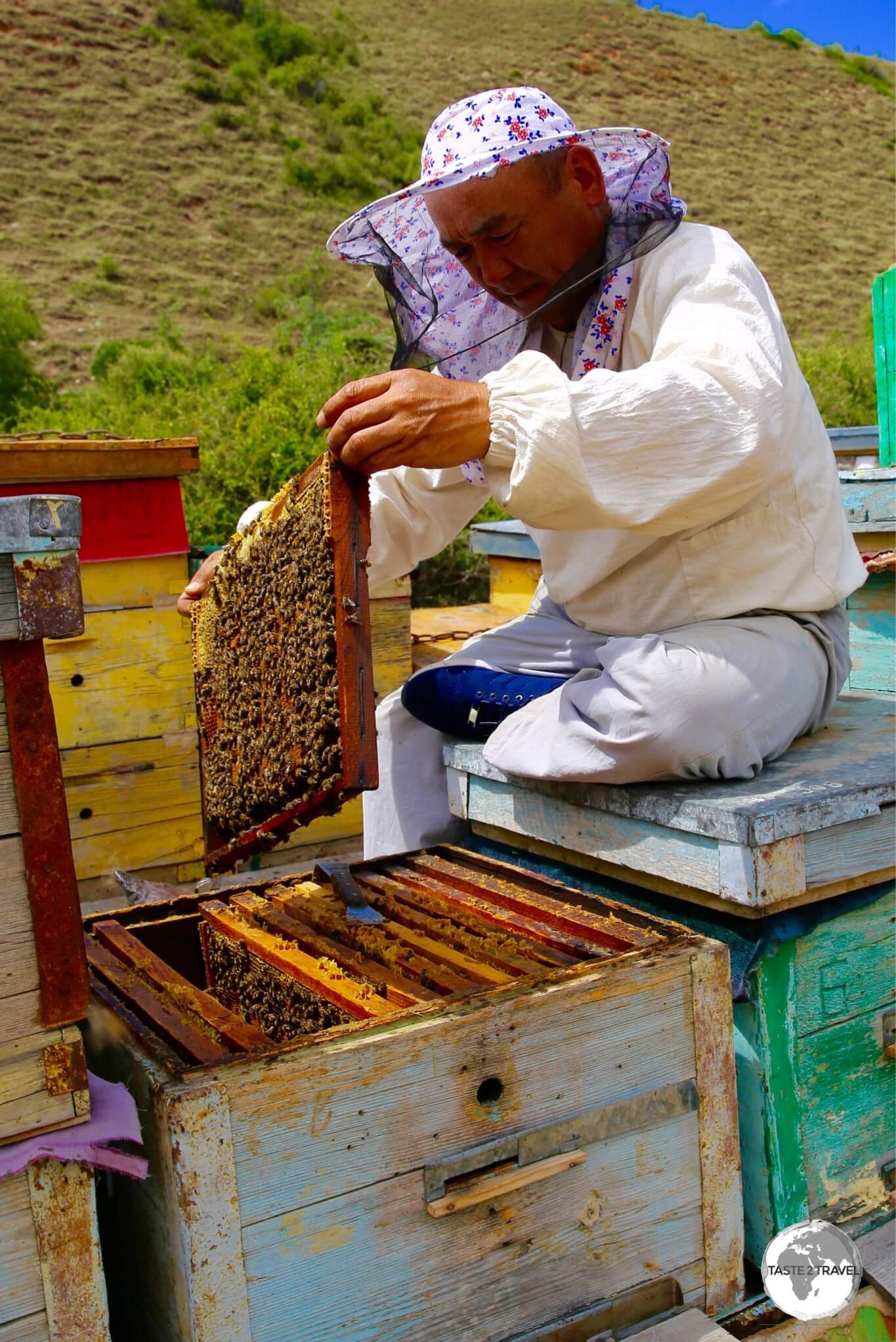 The bee-keeper at Jeti-Ögüz extracts each honeycomb frame from the hive to determine which ones are ready to be harvested.