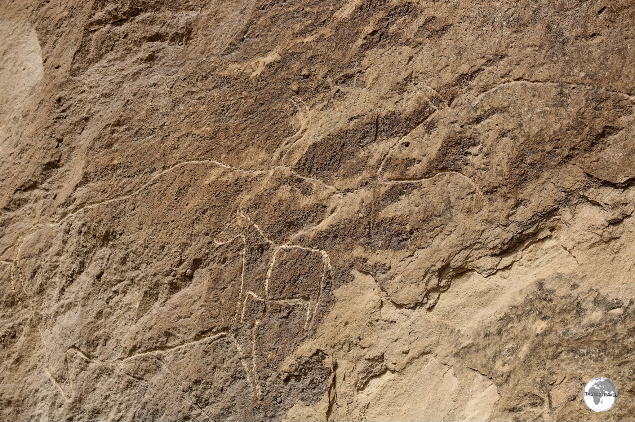 The petroglyphs of Gobustan feature diagrams representing flora and fauna.