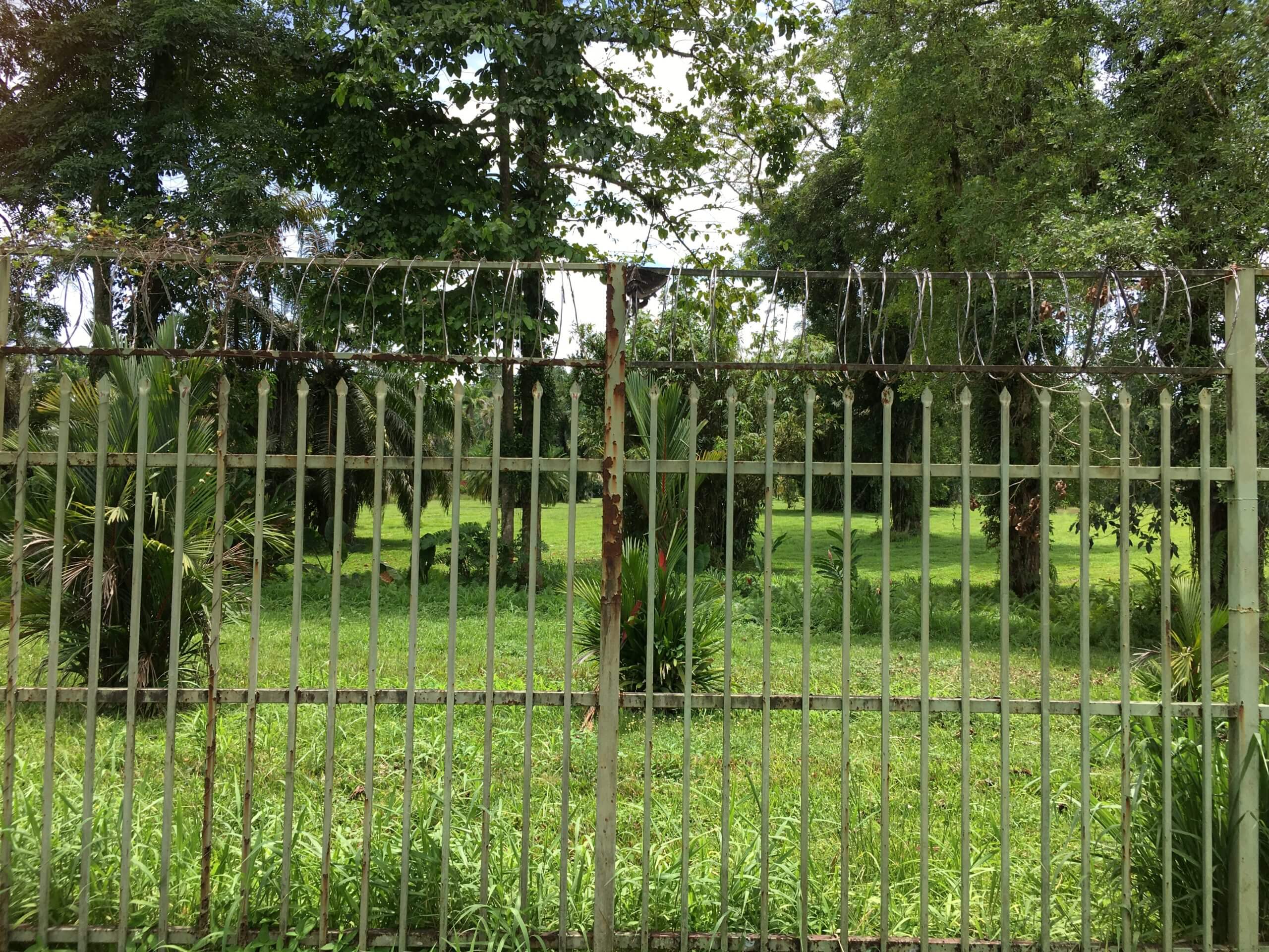 Less-than-inviting, the Botanical Garden in Lae, which is guarded by a security guard, is completely surrounded by a security fence which is topped with razor wire.