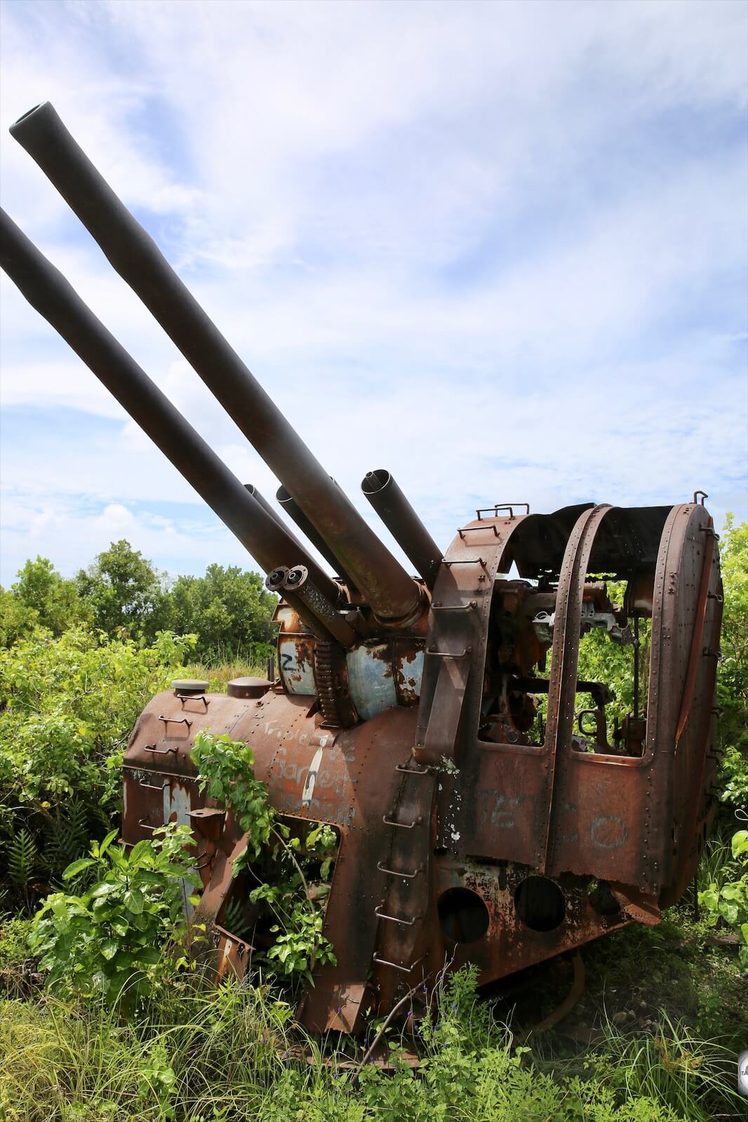 One of the Japanese WWII-era, double-barrelled anti-aircraft guns on Command Ridge.