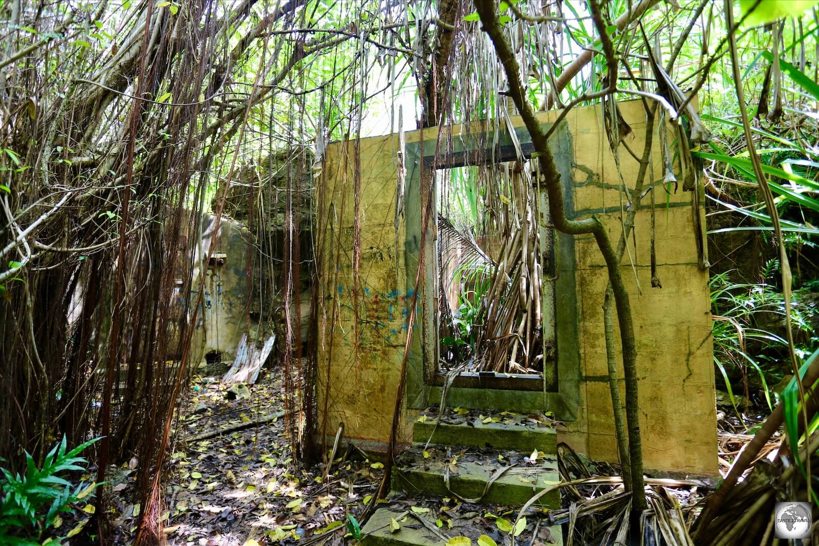 Abandoned prison cells of the Japanese WWII prison. 