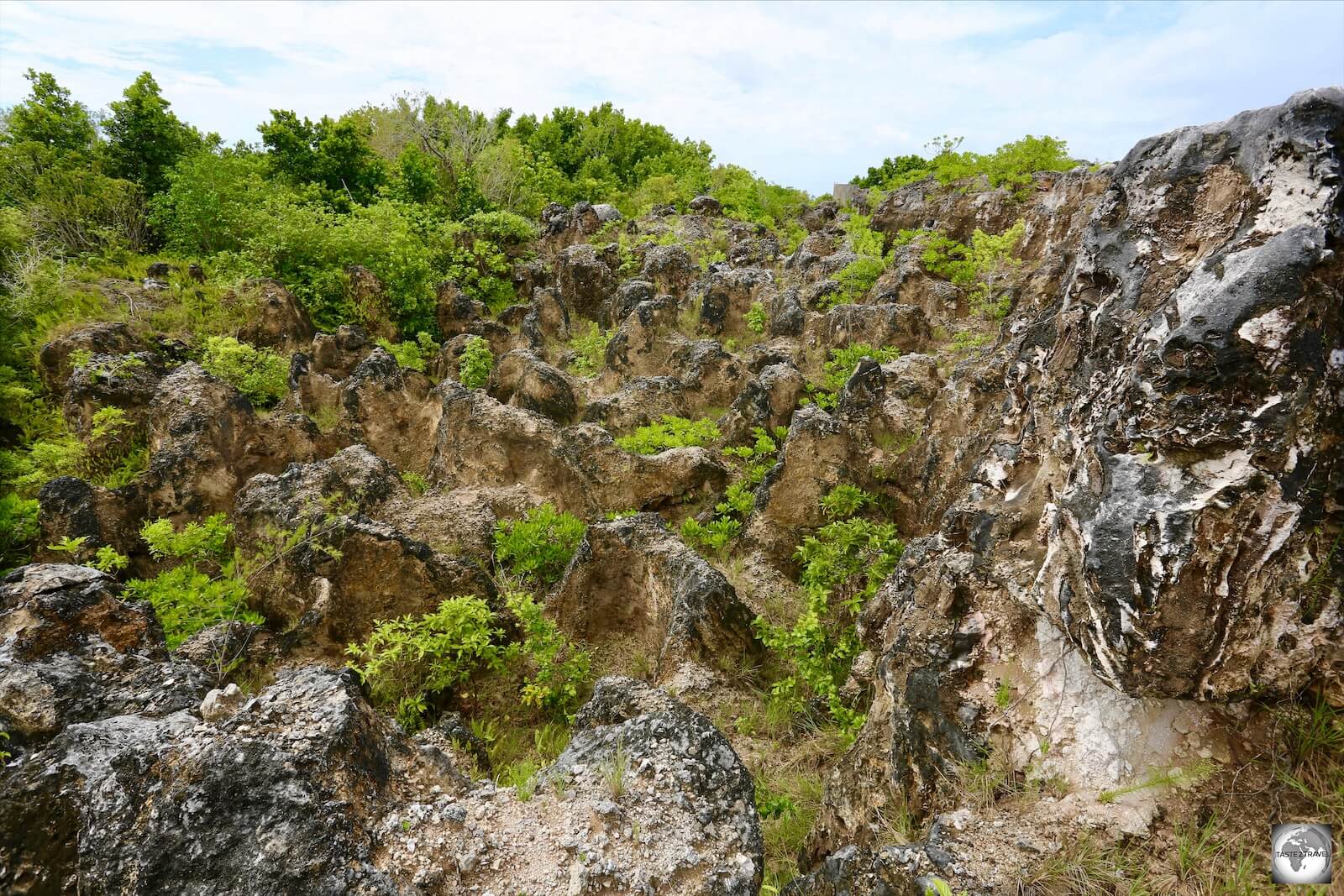 A former mine site on Topside. The exposed limestone pinnacles become blackened due to exposure to the elements.