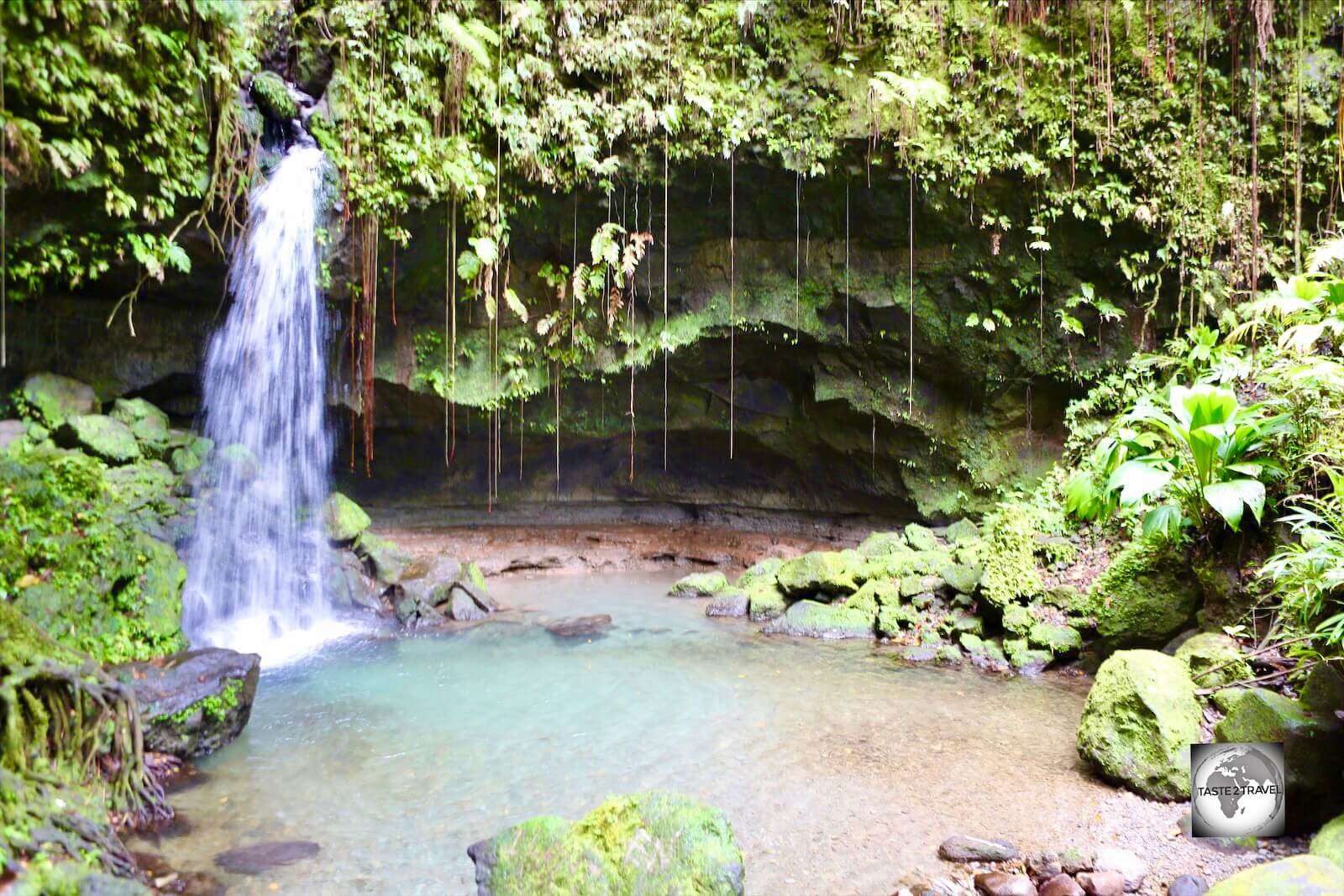 The Emerald pool is a relaxed natural pool with a rocky ledge and a small waterfall in the middle of a serene rainforest.