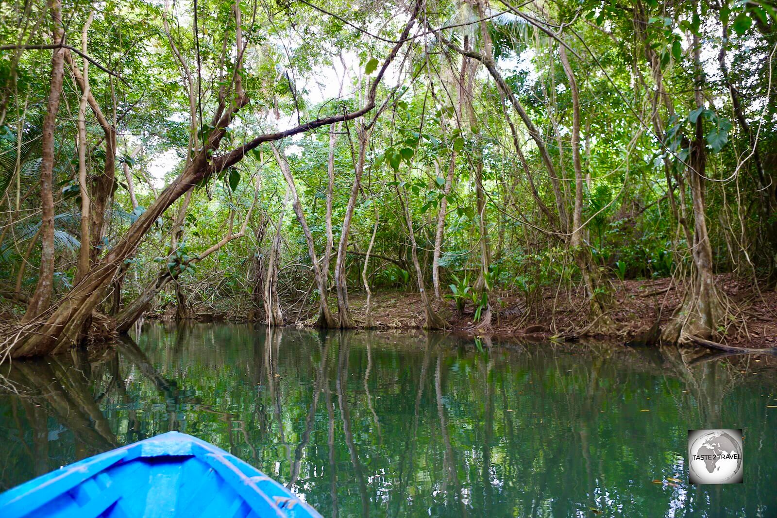 Cruising along the calm and enchanting waters of the India river, near Portsmouth, Dominica.