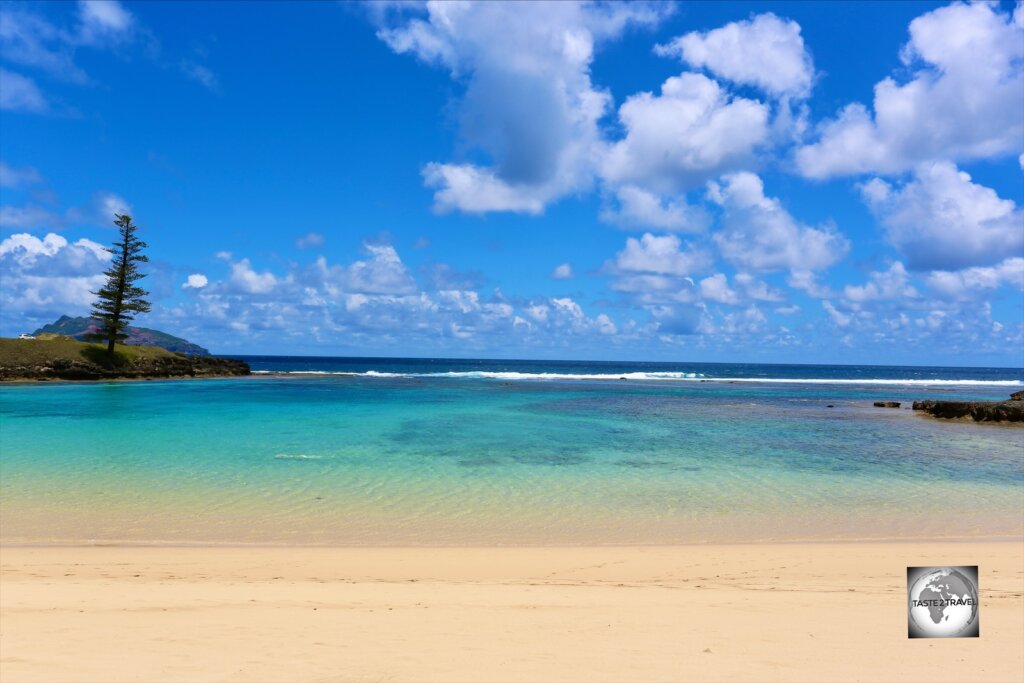 Emily bay and the Lone Pine on Norfolk Island.