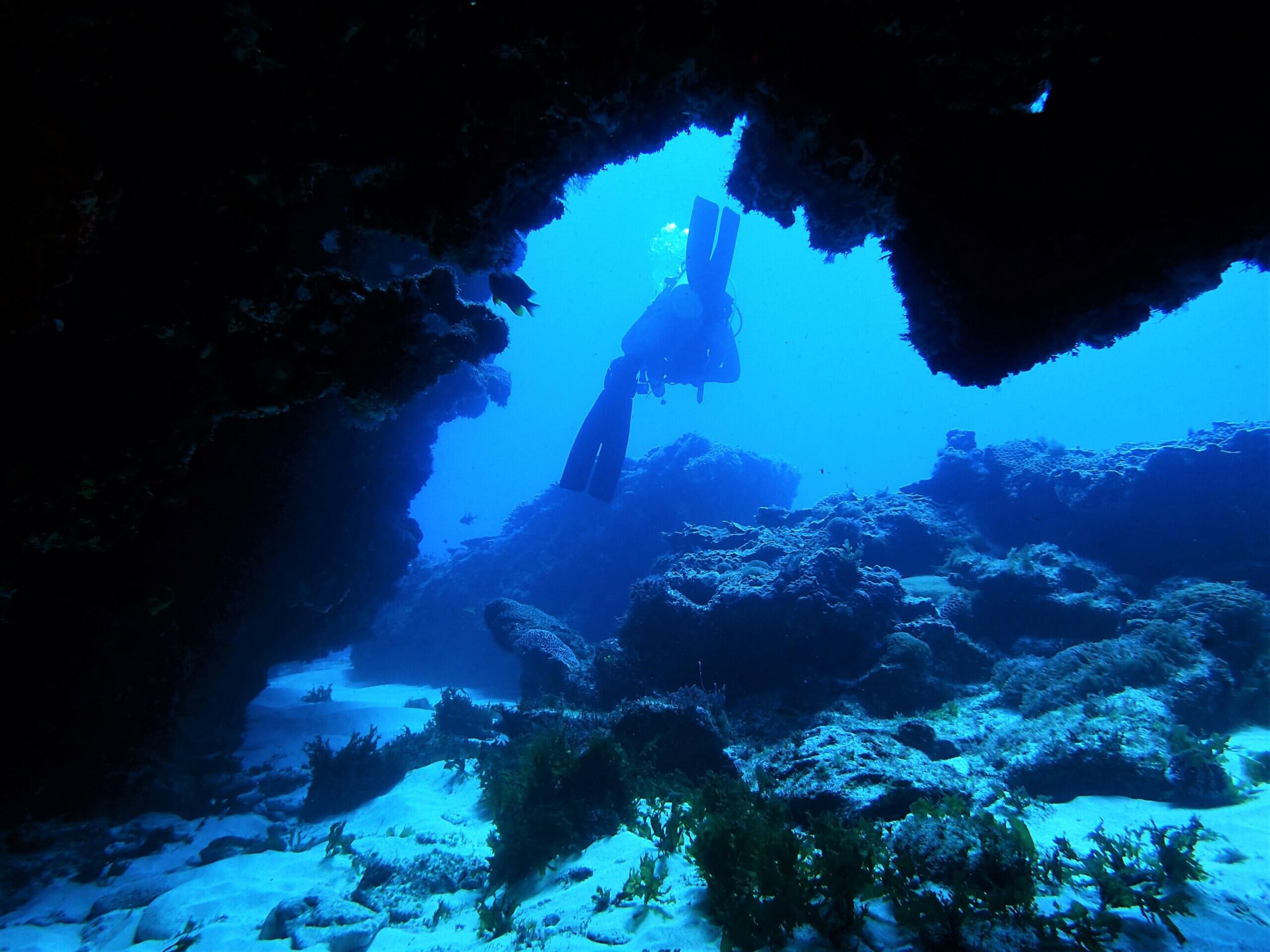 The numerous dive sites of Norfolk Island feature submerged, ancient volcanic formations including many caverns and swim-throughs. 