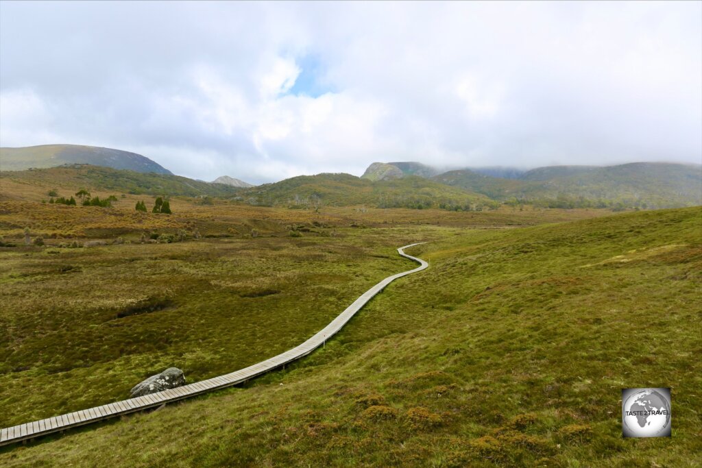 A boardwalk snakes its way across the landscape at Ronny creek, part of the Cradle Mountain national park.