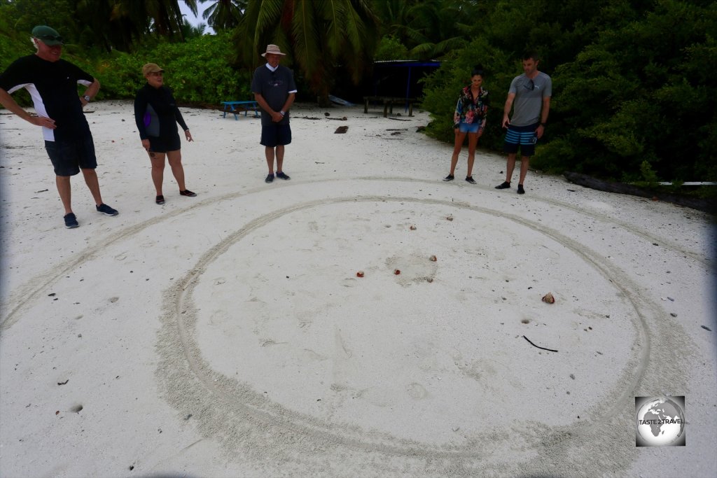 After breakfast on South Island, it was time for a hermit crab race.