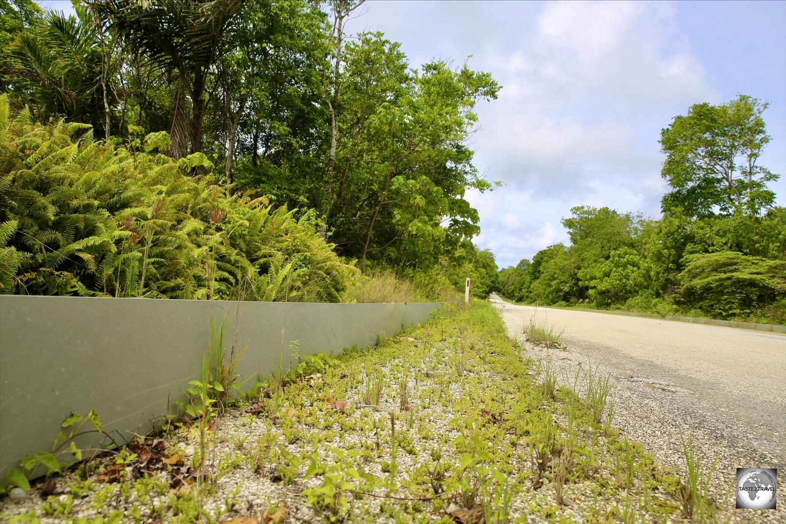 Metal barriers line the roads inside Christmas Island National Park, preventing red crabs from meandering onto the road.