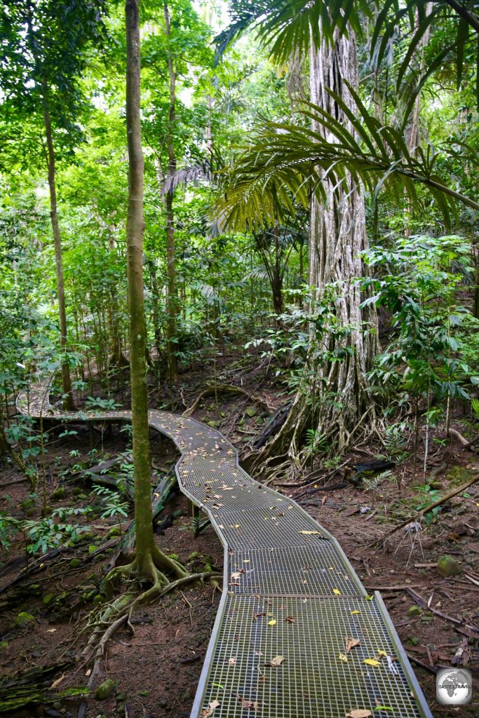 The boardwalk to Hughs Dale waterfall on Christmas Island.