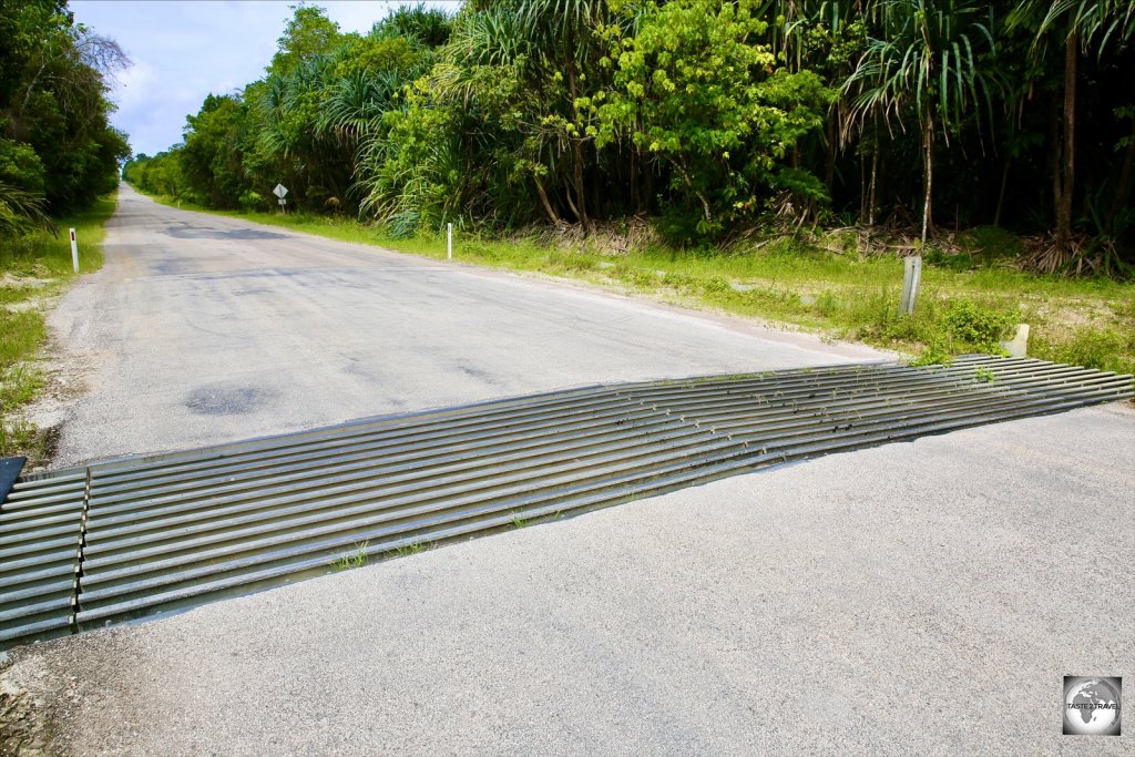 A Red crab grid in Christmas Island National Park.