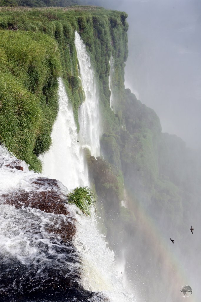 A view, to the left of Devils Throat, where another part of the river forms 160-200 individual falls.