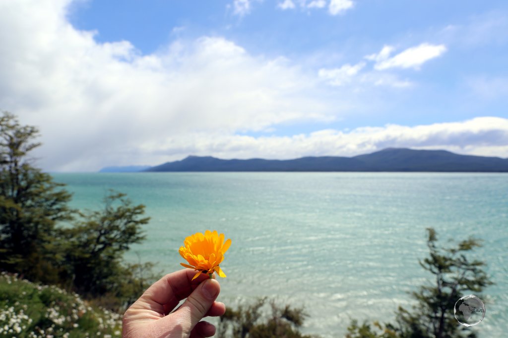 A view of Lago Fagnano, the largest lake in Tierra del Fuego, from the Argentine town of Tolhuin.