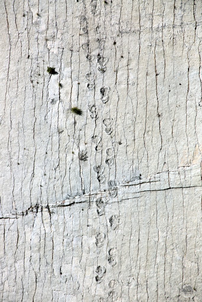 A vertical mudstone wall at Parque Cretácico, 5 km north of Sucre, is the site of the largest collection of preserved dinosaur footprints in the world.