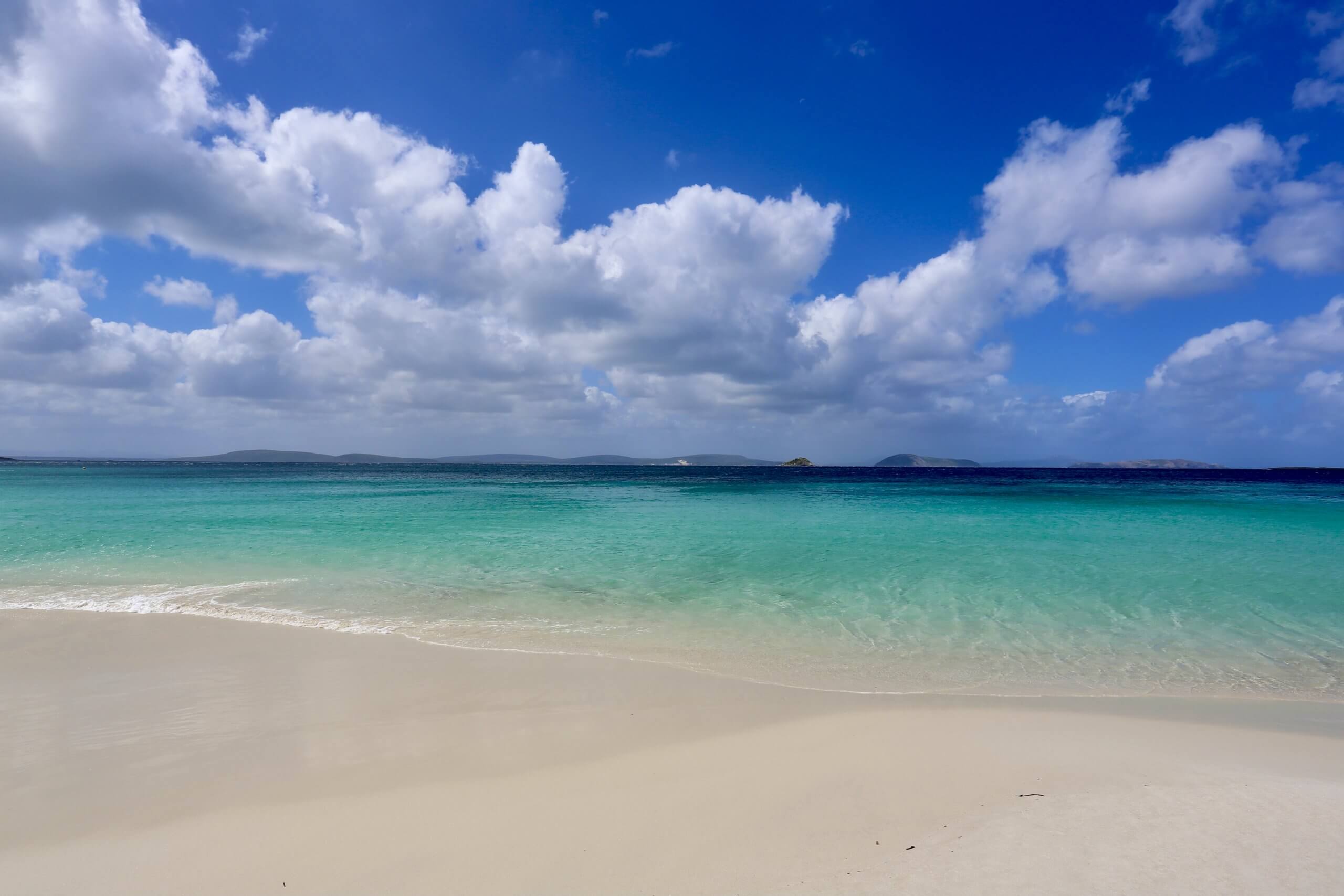 A view of Frenchman bay beach at Albany.