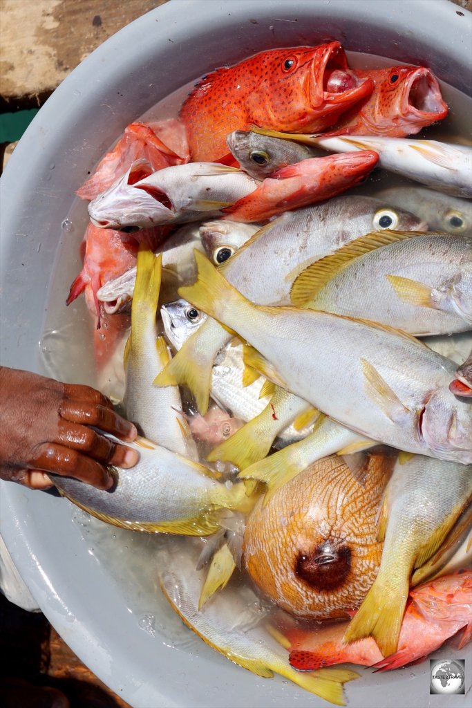 Fish vendor on the main pier in Santa Maria, Sal Island.