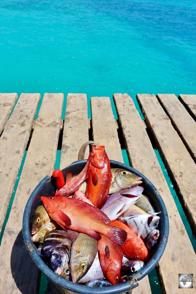 Freshly caught fish are sold each morning on Santa Maria pier.