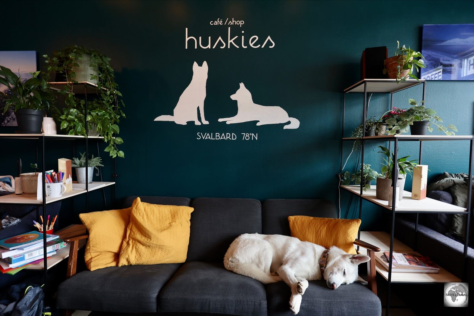 The very inviting Café Huskies features a couple of friendly husky dogs. 