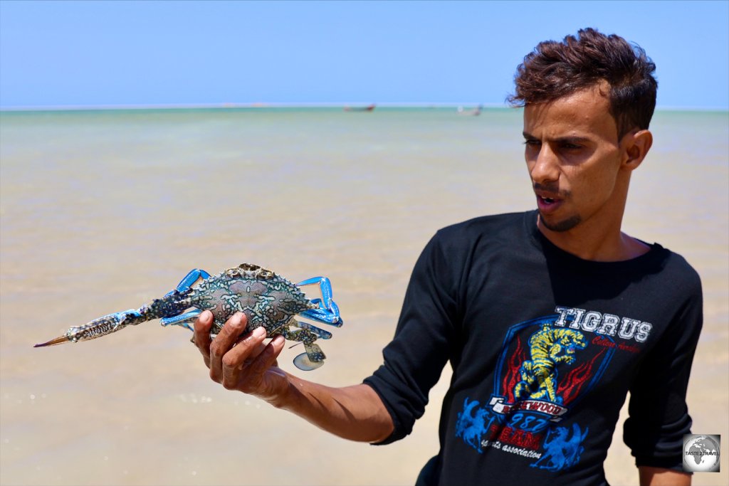 The fisherman who operates the campsite at Detwah Lagoon offered me a freshly caught crab for lunch.