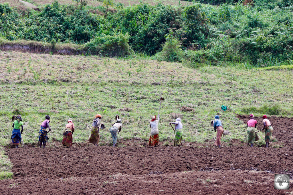 Burundi is a largely agricultural country.