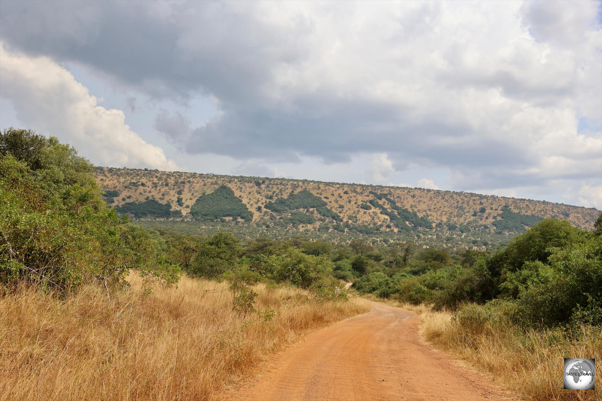 On the road in Akagera National Park, where I did my own self-drive game safari, in my Toyota RAV4, accompanied by a (compulsory) park guide.