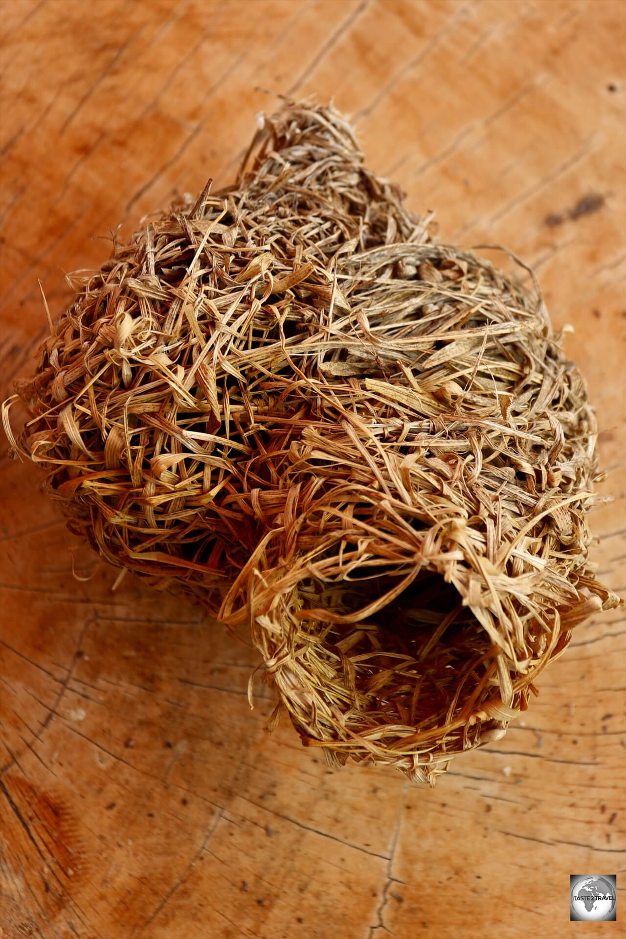 A fallen weaver bird nest - a masterpiece of weaving which they accomplish using only their beaks.