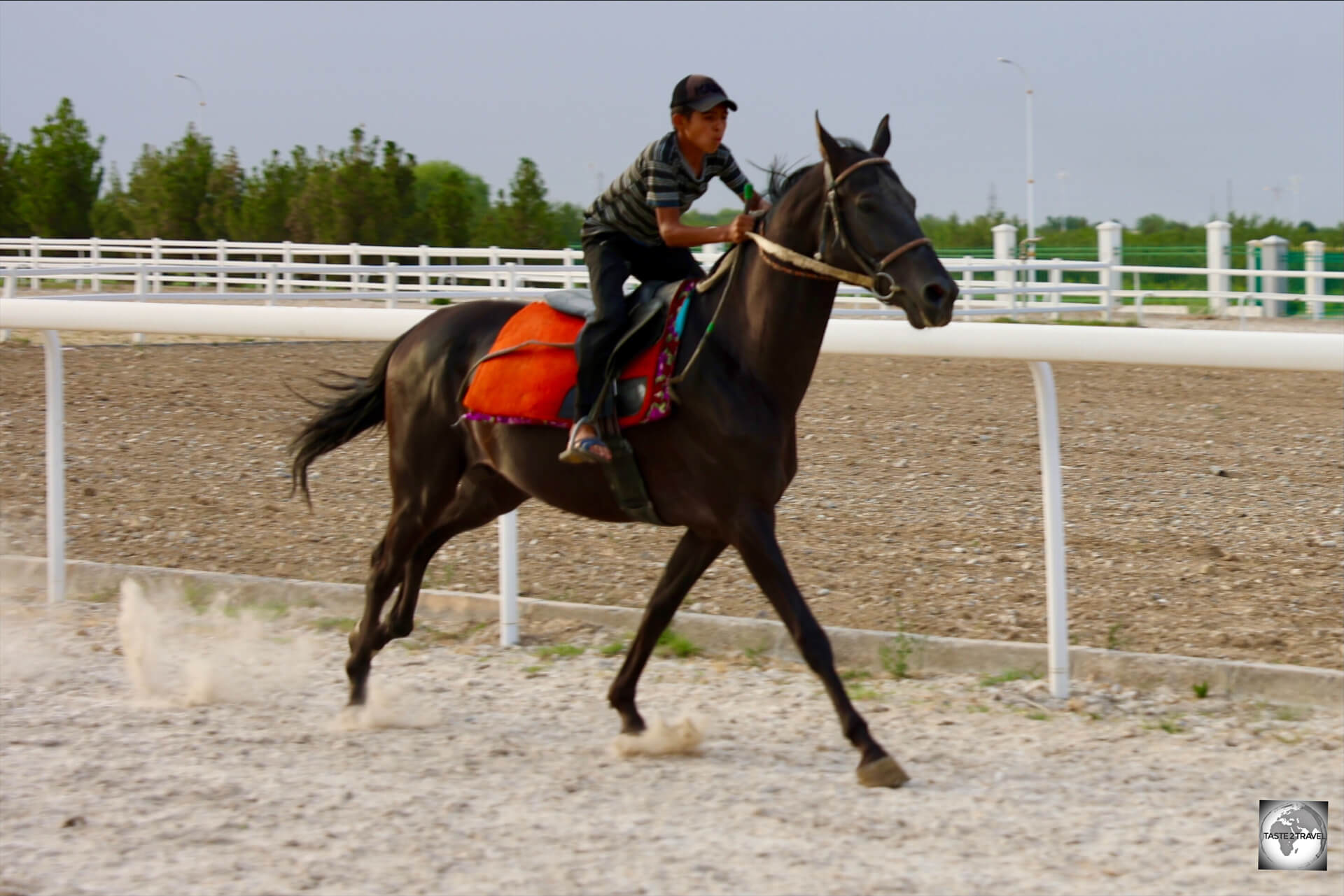 The stable-hand, taking a horse for a gallop. 