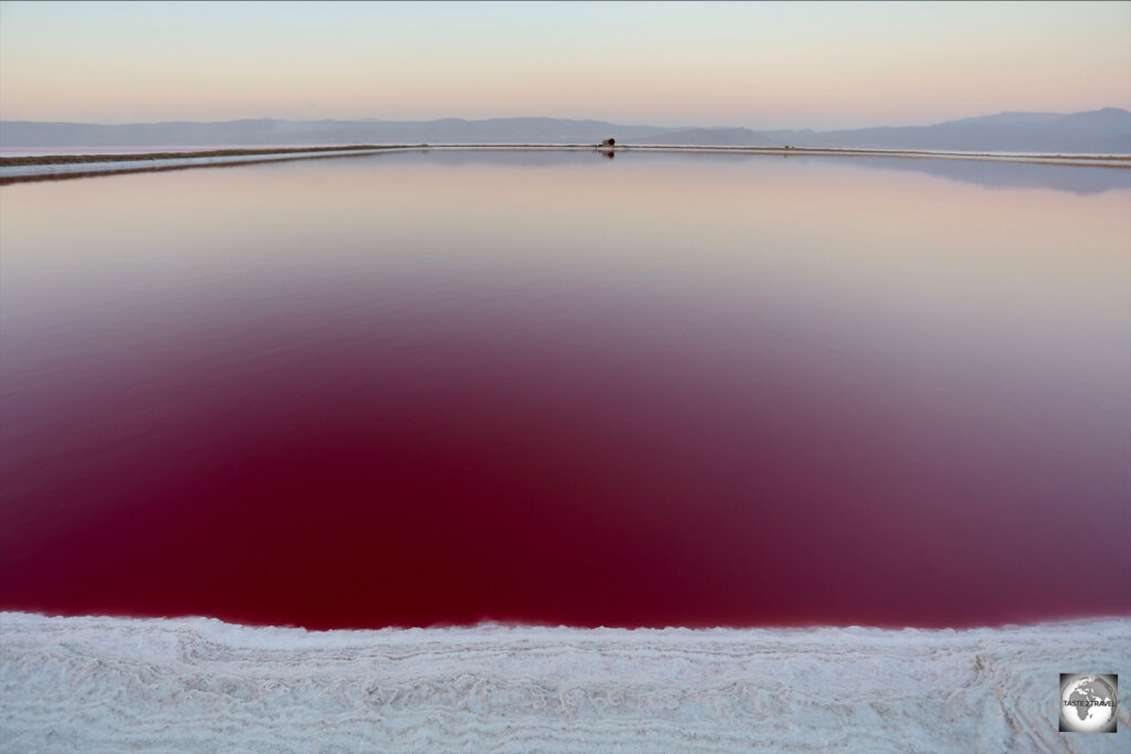 A surreal and spectacular sight - the very pink Maharloo Lake.