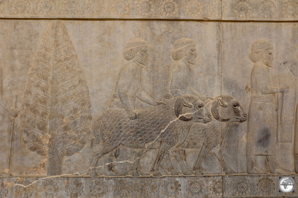 A bas-relief from the Apadana Palace at Persepolis, depicting a delegation offering sheep to the king.