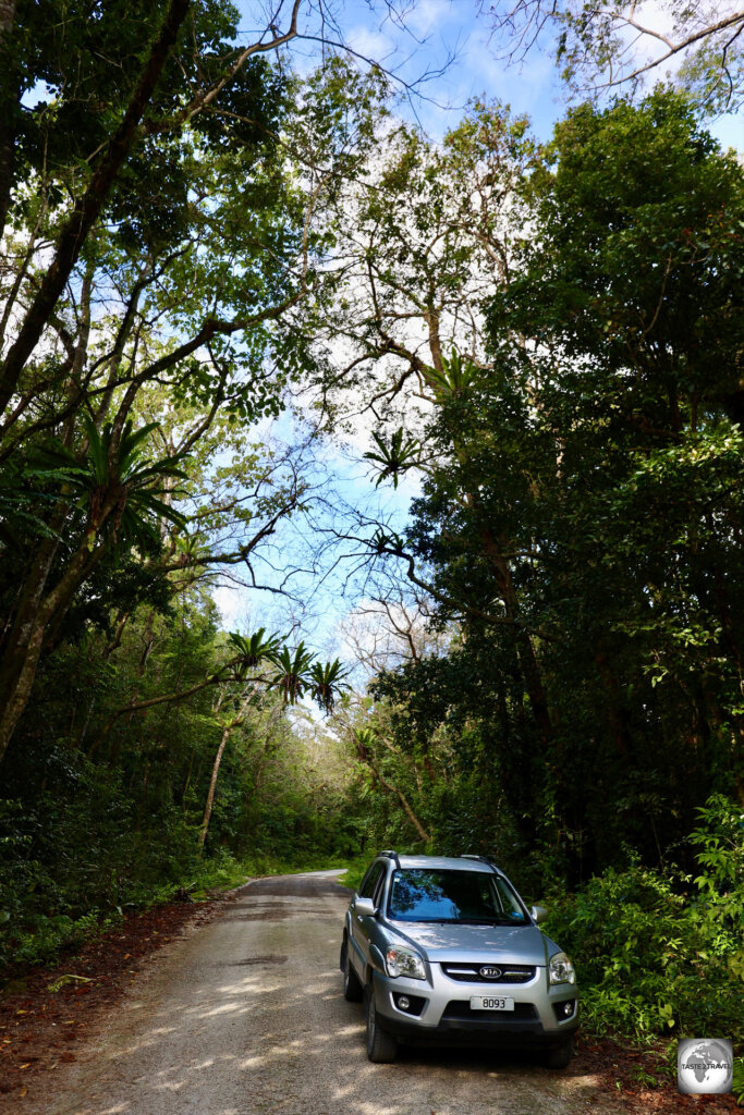 The very quiet, cross-island road, between Alofi and Lakepa passes through verdant rainforest.