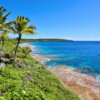 A raised limestone reef with no beaches, but plenty of cliffs and reef, Niue is affectionally known as ‘The Rock’.