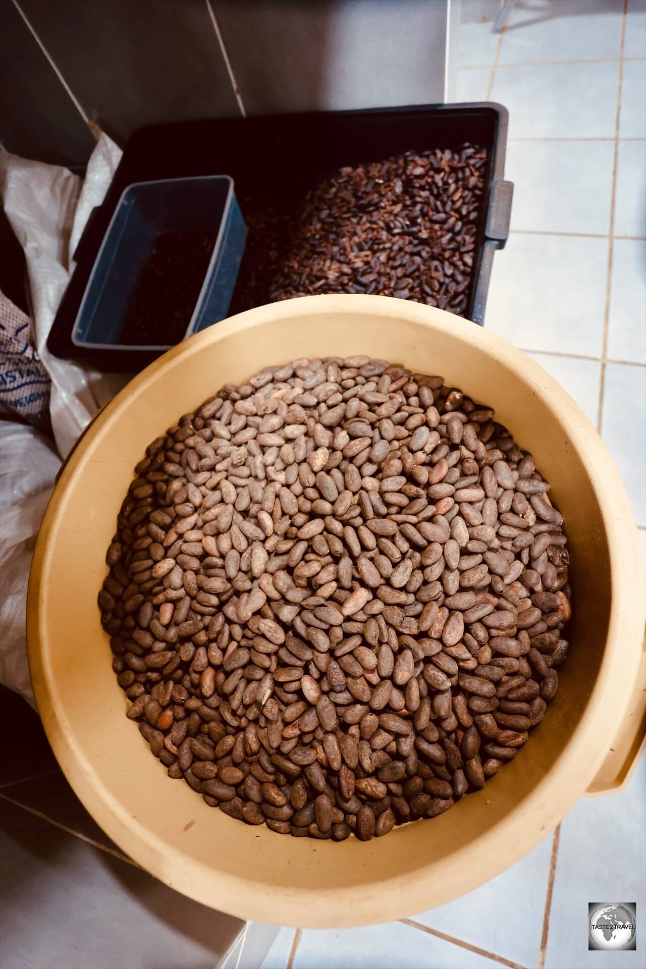 Cacao beans, in the processing laboratory at Finca Sampaka. 