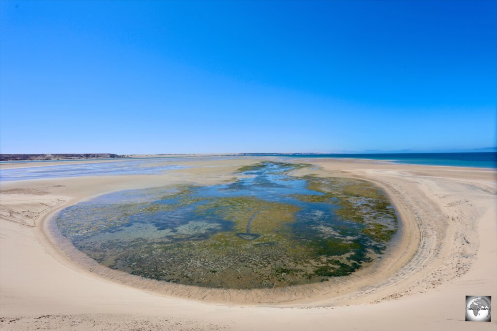 A view of a small lagoon which is surrounded by the sands of the White Dune.